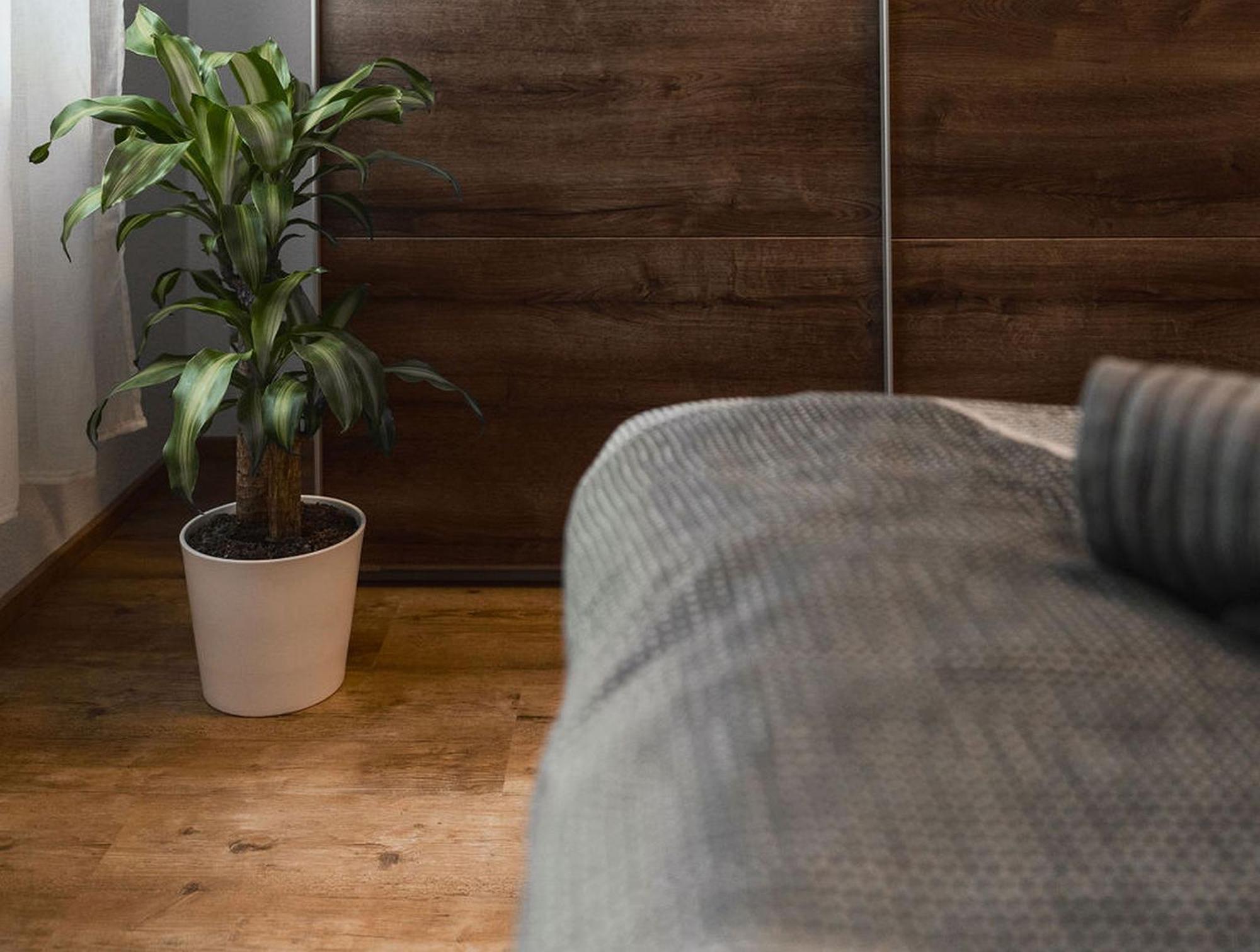 Kleine Auszeit Apartment Friedrichshafen Ngoại thất bức ảnh